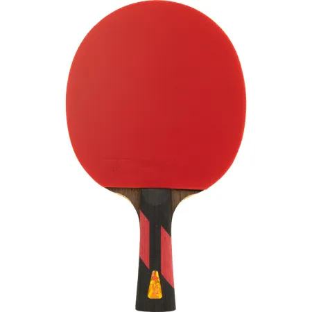 Ракетка для н/т DOUBLE FISH 7A+C, для професс.,ITTF Appr.,накл.2,1мм,+ 2 мяча V40+мм ITTF Appr за 3&nbsp;559.80 ₽ купить в Красноярске