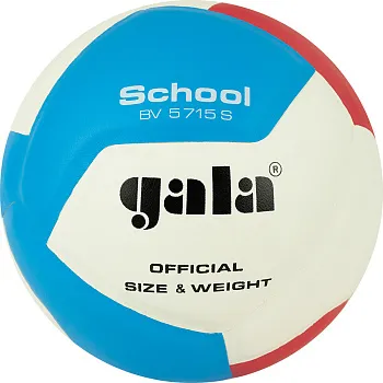 Мяч волейбольный Gala School 12, BV5715S