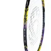 Ракетка бадм. TORRES Carbon PRO6, BD20521,для продв., стерж/обод из карбона,со струнами, фиол за 4&nbsp;477.80 ₽ купить в Красноярске