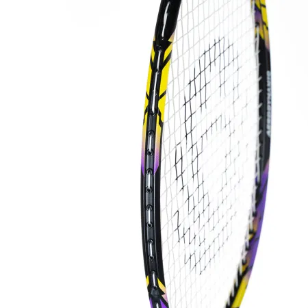 Ракетка бадм. TORRES Carbon PRO6, BD20521,для продв., стерж/обод из карбона,со струнами, фиол за 4&nbsp;477.80 ₽ купить в Красноярске