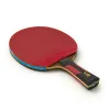 Ракетка для н/т DOUBLE FISH 7A+C, для професс.,ITTF Appr.,накл.2,1мм,+ 2 мяча V40+мм ITTF Appr за 3&nbsp;559.80 ₽ купить в Красноярске