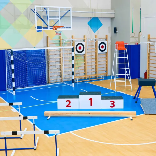 Щит для метания навесной на шведскую стенку (фанера) 700х700 ZAVODSPORTA за 8&nbsp;960 ₽ в Красноярске