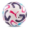 Мяч футб. PUMA Stellar Goal PL Reactivity, 08519301, р.5, 16п, ТПУ, маш. сш, бело-фиолетово-розовый за 6&nbsp;291.70 ₽ купить в Красноярске