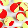 Мяч теннисный детский NS Red, 5021009, уп.12 шт, резина, шерть, нейлон, желто-красный за 2&nbsp;941 ₽ купить в Красноярске