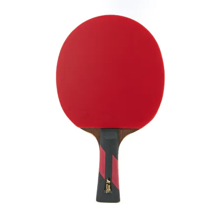 Ракетка для н/т DOUBLE FISH 7A+C, для професс.,ITTF Appr.,накл.2,1мм,+ 2 мяча V40+мм ITTF Appr за 3&nbsp;559.80 ₽ купить в Красноярске