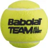 Мяч теннисный BABOLAT Team All Court,502081, уп.4 шт,одобр.ITF, сукно, нат.резина,желтый за 2&nbsp;385.10 ₽ купить в Красноярске