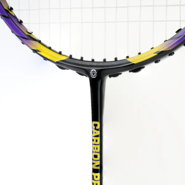 Ракетка бадм. TORRES Carbon PRO6, BD20521,для продв., стерж/обод из карбона,со струнами, фиол за 4&nbsp;477.80 ₽ в Красноярске