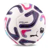 Мяч футб. PUMA Stellar Goal PL Reactivity, 08519301, р.5, 16п, ТПУ, маш. сш, бело-фиолетово-розовый за 6&nbsp;291.70 ₽ купить в Красноярске