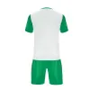 Форма футб. игровая TORRES Sport, F-1022-018-XL, р.XL, полиэстер, бело-зеленый